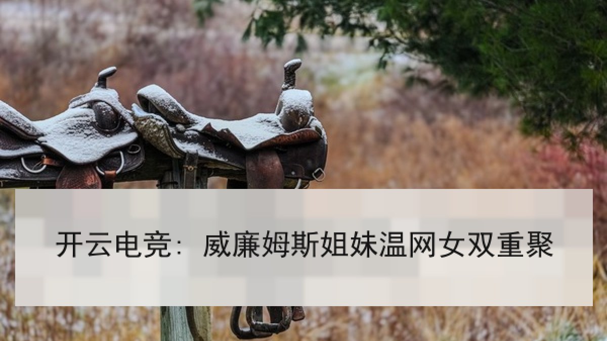 开云电竞: 威廉姆斯姐妹温网女双重聚